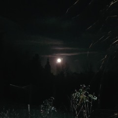 09 - 12 - 2023 -analog species - free modular minimal