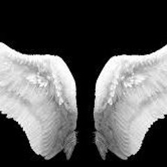 Angel that's Fallen
