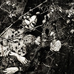 you could never / / + axcore (pill)