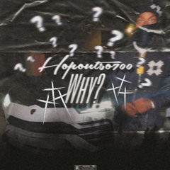 Hopoutso700-Why
