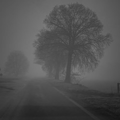 Falling (Full) Master.wav