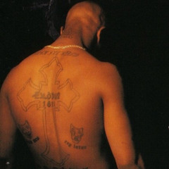 state of mind freestyle p1