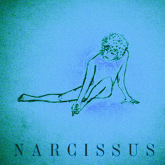 NARCISSUS