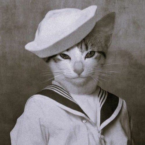 NikoKori - hey compadre,who let you get high so high?