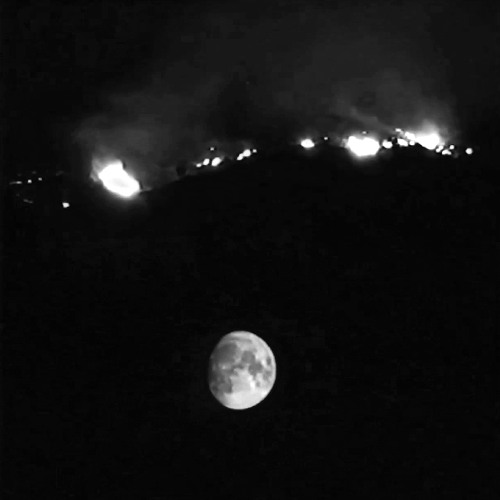 Bloodz Boi & cat soup - time & place