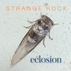 Eclosion Drum & Bass Mix