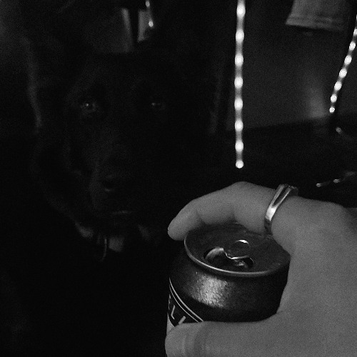 HOMIE BUZZ - LIKE A BAD HABIT I'M BACK AT IT