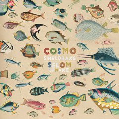 Cosmo Sheldrake - Birthday Suit (Selom Remake)[free dl]