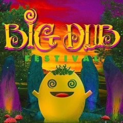 Big Dub Music Festival - DJ Go Glow (Full Break Beat Mix) 2024