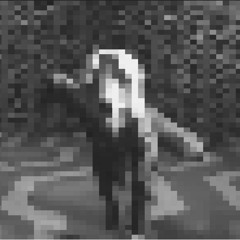 Animal Nitrate (MSOM version)