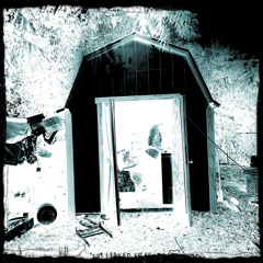 2017 LEAKED FREESTYLE