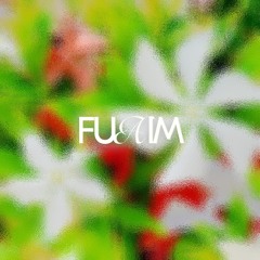 FUA001 - Fuaim V/A