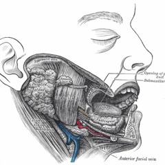 miners - When I Was A Boy, I Was Not A Boy