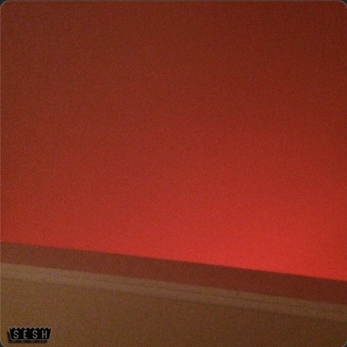 drew the architect & cat soup - saltmarsh