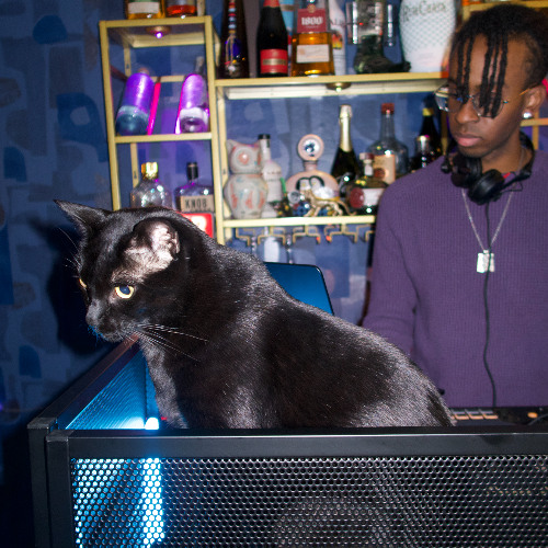 BRINGING BACK "LITTY" 🔥 DJ Mix - Drake, Nicki Minaj, Big Sean, Megan Thee Stallion, and more