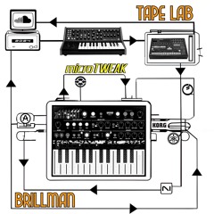 Brillman & Tape Lab - microTWEAK (traktor Mix)