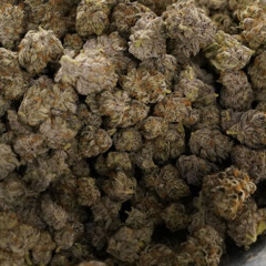 Keep Selling Grams