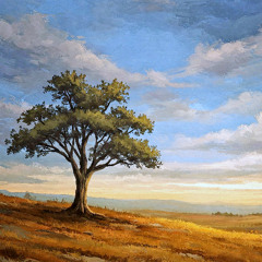 THE CASUALS - REFORMITY Episode 021