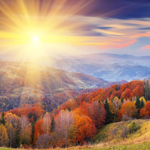 Jumu'ah Khutbah - It Is Paradise We Should Be Competing For - By Ustaadh Abu Inayah Seif حفظه الله