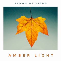 Amber Light by Shawn Williams