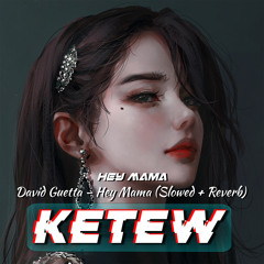 David Guetta – Hey Mama (Slowed + Reverb)