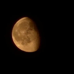 moon in wrld of starts