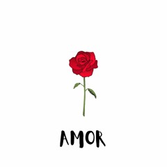 AMOR (EXTENDED MIX)