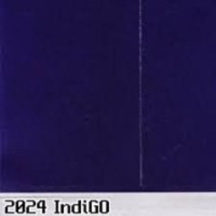 IndiGO2024 (.Solo)