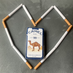 Camel Blue (demo)