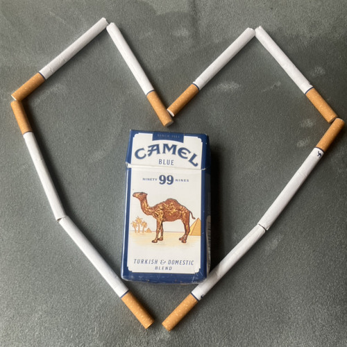 Camel Blue (demo)