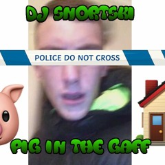 DJSnortSki - Pig In Da Gaff