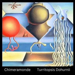 Turritopsis Dohrnii