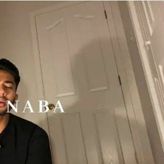 surah naba |Yusuf truth