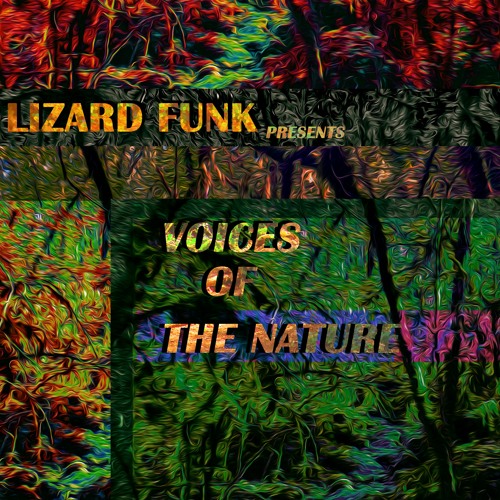 Swamp's Funk