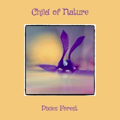 Pixie's Forest & Video Link