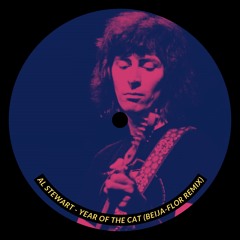 Al Stewart - Year Of The Cat (Beija-Flor Remix)