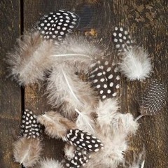 The Burnt City - Moments - The Punishment of Askalaphos