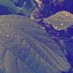 Stop Or Slow (Prod. By @WalteezyAFN)