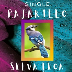 Pajarillo (Track_Home Single Production)