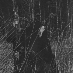 [Free for profit] - Hard Ghostemane Type Beat - CRUEL