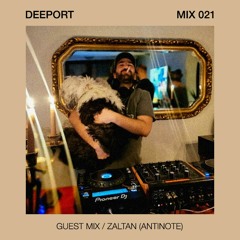 Deeport MIX021 - Guest Mix By Zaltan (Antinote / Paris)