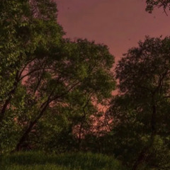 the fauna has rotted and its never coming back (prod. grayskies)