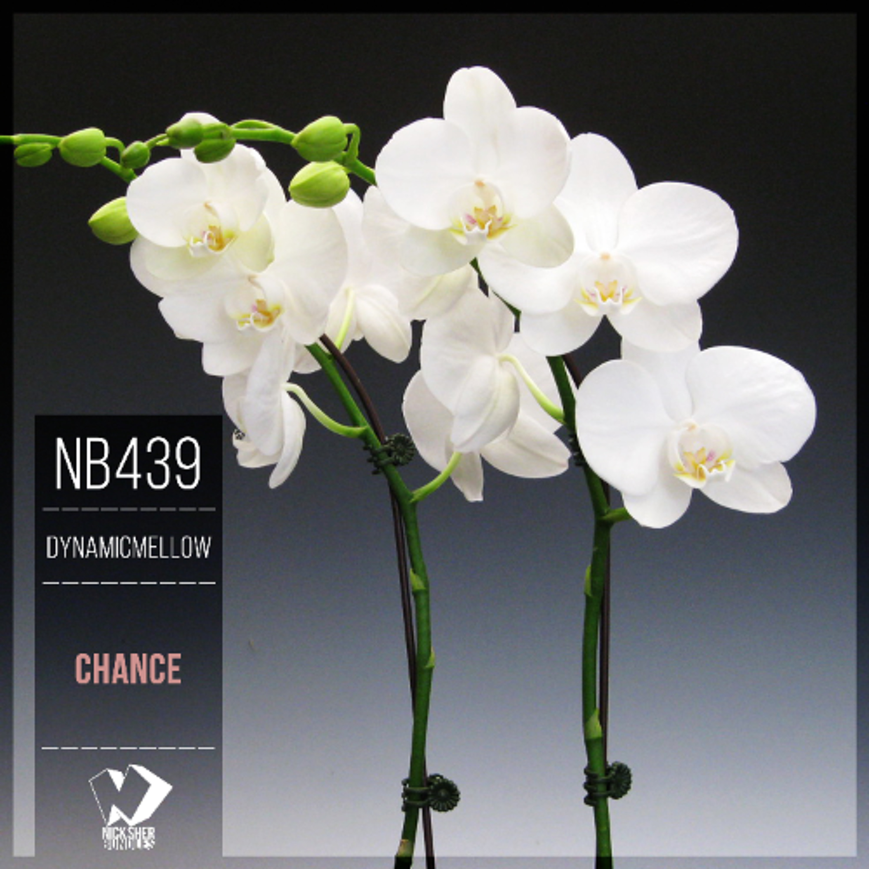 DynamicMellow - Chance (Original Mix) episode artwork