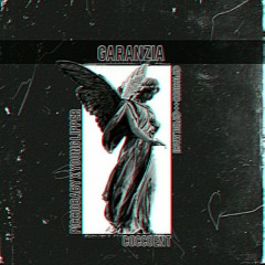 picciobaby - GARANZIA (ft. young lipper)
