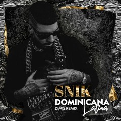 Snik x Salva - Dominicana Latina | Dimis Remix