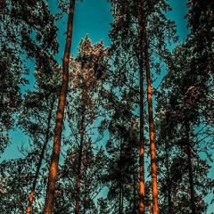 Atif_Aslam_-_Aadat_(slowed_down_&_reverbed)(256k).mp3