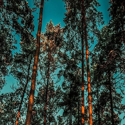 Atif_Aslam_-_Aadat_(slowed_down_&_reverbed)(256k).mp3