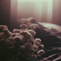 Where Nobody Knows Me