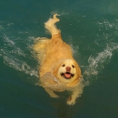 music sounds better with you X one kiss