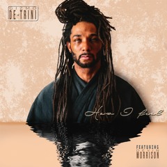 How I Feel (ft. Devin Morrison)